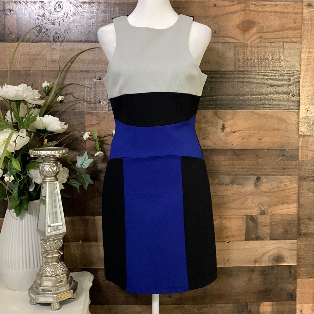 🍃🌸 Gianni Bini Dress Size Medium